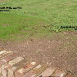 Wholesale ⌛ Willy Worms 20 Litres Of Pure Worm Casts ❤️ 8 Willy Worms 20 Litres Of Pure Worm Casts