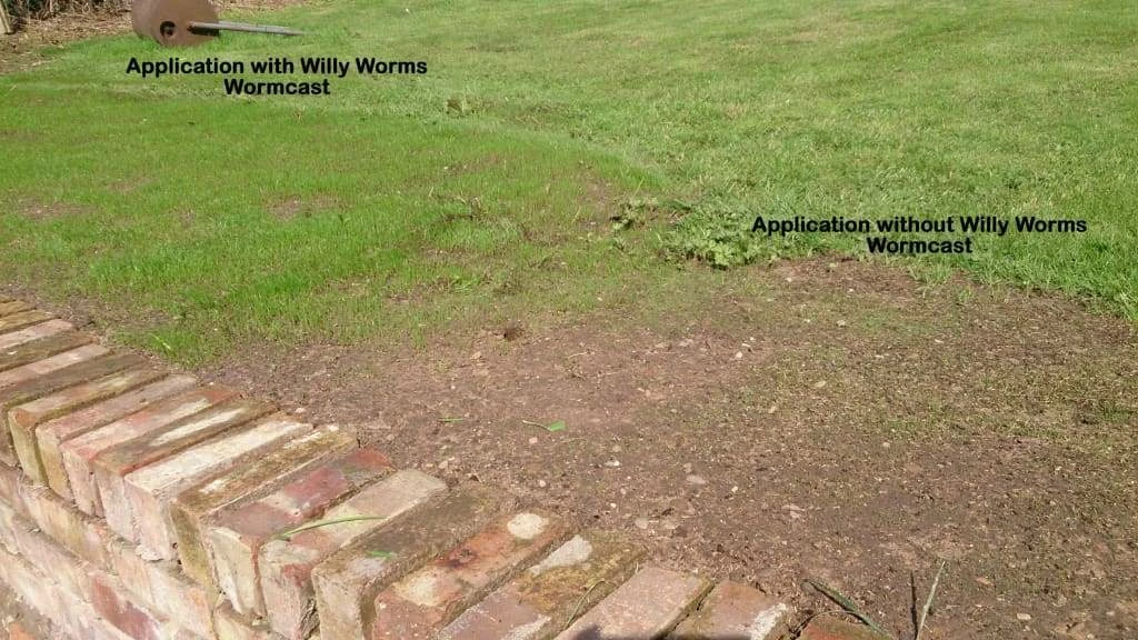 Wholesale ⌛ Willy Worms 20 Litres Of Pure Worm Casts ❤️ 4 Willy Worms 20 Litres Of Pure Worm Casts