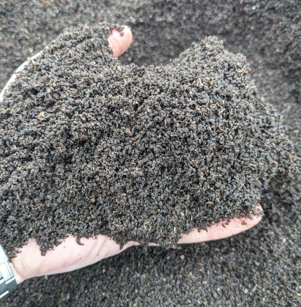 Wholesale ⌛ Willy Worms 20 Litres Of Pure Worm Casts ❤️ 3 Willy Worms 20 Litres Of Pure Worm Casts