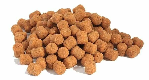 Best Pirce ๐ Bait-Tech Poloni Dumbells โญ 2 Bait-Tech Poloni Dumbells