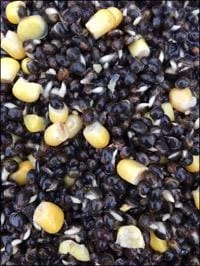 Hot Sale ๐ Fishing Bait Bait-Tech Superseed Hemp & Sweetcorn Mix 350g ๐ฅฐ 2 Fishing Bait Bait-Tech Superseed Hemp & Sweetcorn Mix 350g