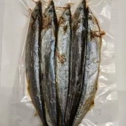 Willy Worms Blueys (Pacific Saury) Dead Bait Fishing Bait