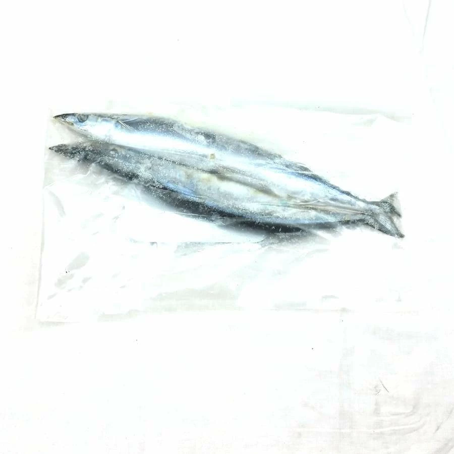 Cheapest ๐ Willy Worms Blueys (Pacific Saury) Dead Bait Fishing Bait ๐ 1 Willy Worms Blueys (Pacific Saury) Dead Bait Fishing Bait