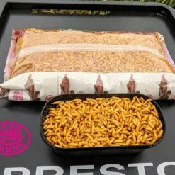 New ๐คฉ Willy Worms Bronze Maggots ๐ฅ 7 Willy Worms Bronze Maggots