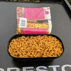 Willy Worms Bronze Maggots