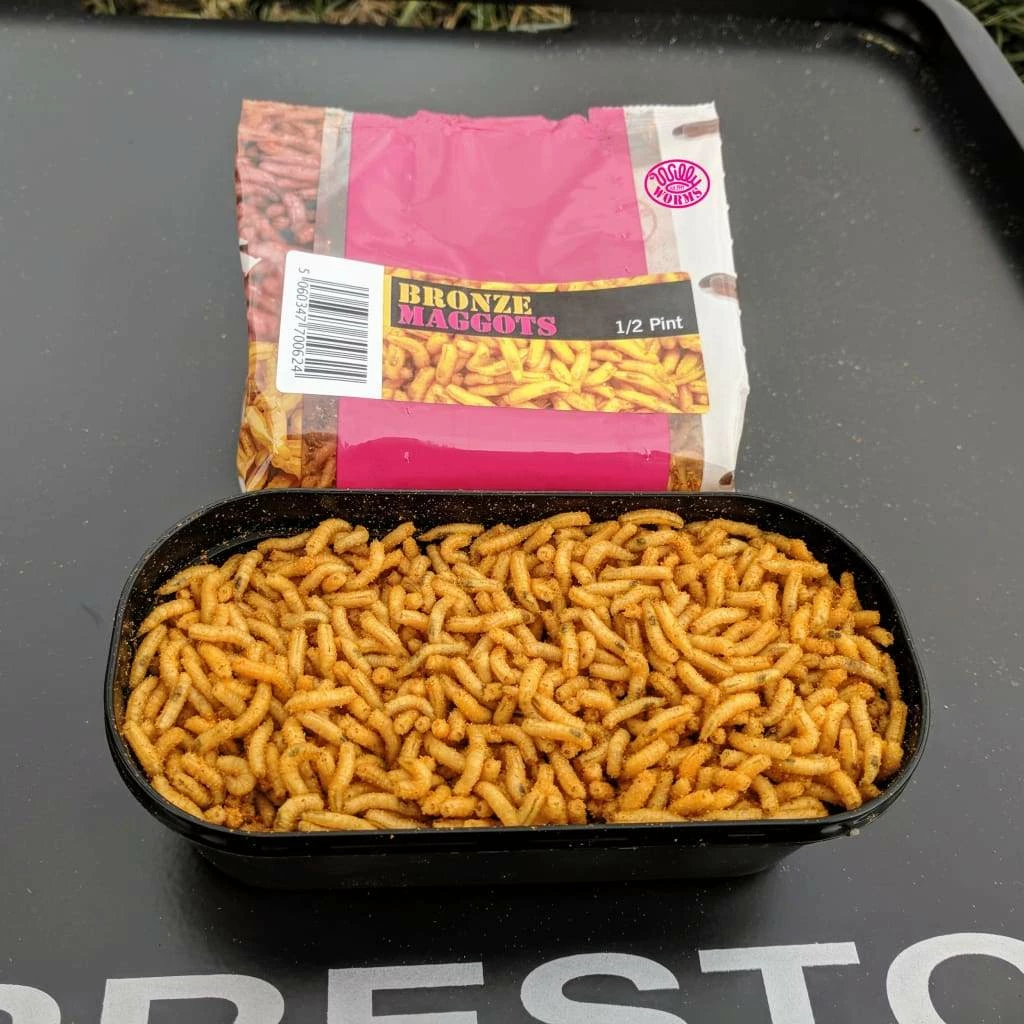 New ๐คฉ Willy Worms Bronze Maggots ๐ฅ 2 Willy Worms Bronze Maggots