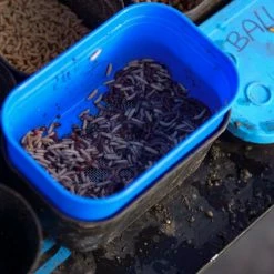 Bait Accessories Cresta Bait Strainer