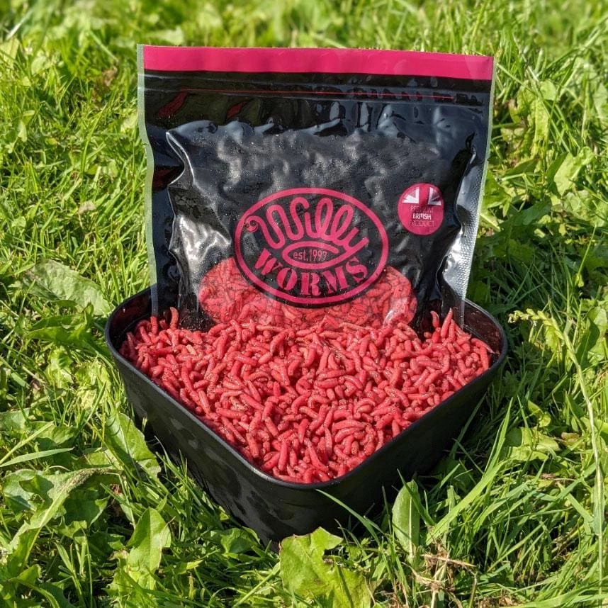 Promo โค๏ธ Willy Worms Dead Maggots 1 Pint ๐ 5 Willy Worms Dead Maggots 1 Pint