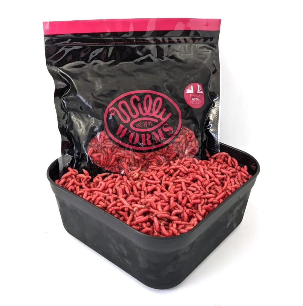 Promo โค๏ธ Willy Worms Dead Maggots 1 Pint ๐ 1 Willy Worms Dead Maggots 1 Pint