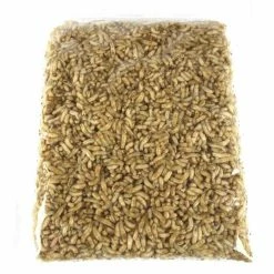 Promo โค๏ธ Willy Worms Dead Maggots 1 Pint ๐ 7 Willy Worms Dead Maggots 1 Pint