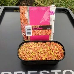 Brand new โจ Willy Worms Disco Maggots Live Bait ๐งจ 6 Willy Worms Disco Maggots Live Bait