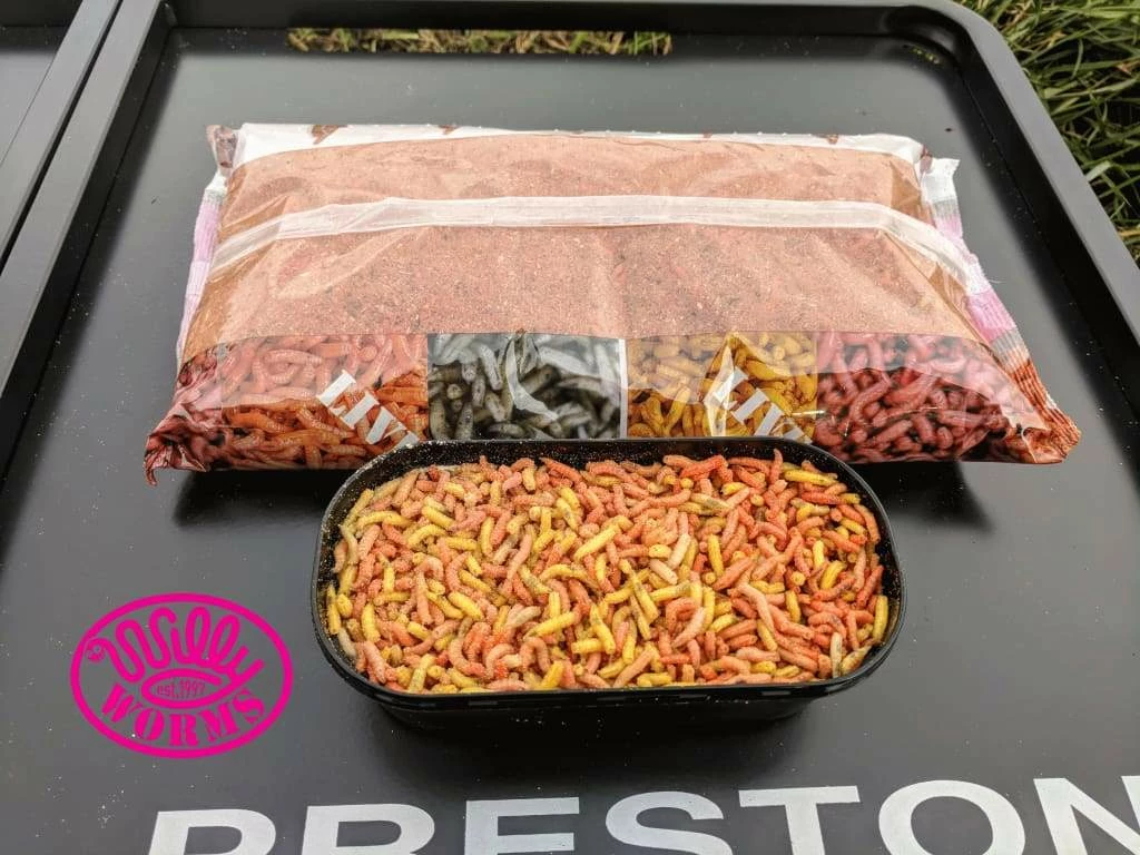 Brand new โจ Willy Worms Disco Maggots Live Bait ๐งจ 4 Willy Worms Disco Maggots Live Bait