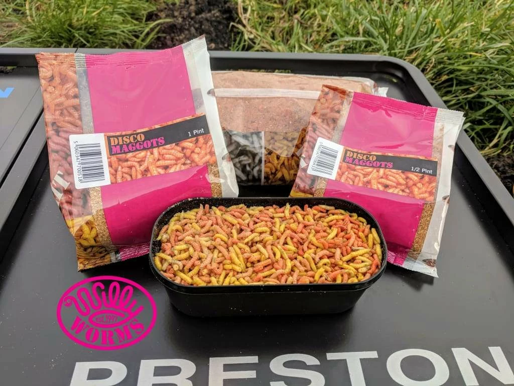 Brand new โจ Willy Worms Disco Maggots Live Bait ๐งจ 1 Willy Worms Disco Maggots Live Bait