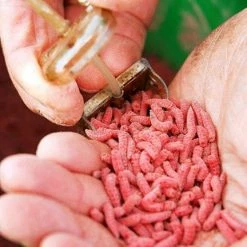 Drennan Bolt Rig Feeder