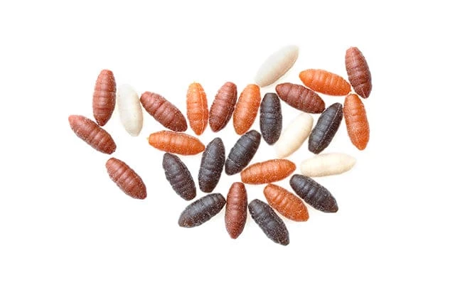 Hot Sale ๐ Drennan Buoyant Casters ๐ 2 Drennan Buoyant Casters