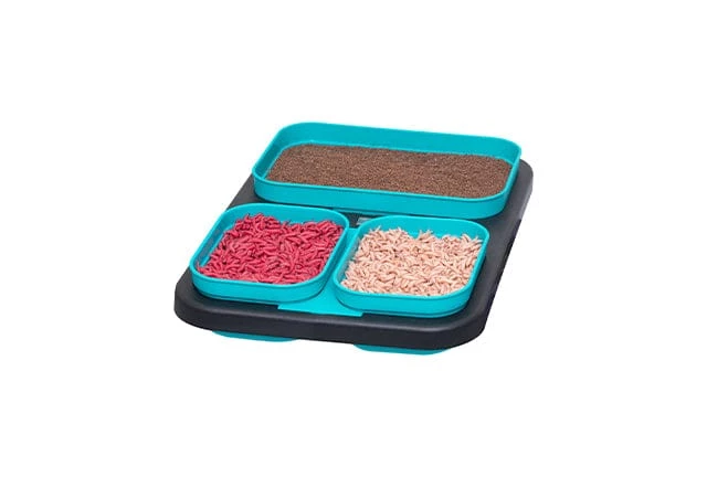 Hot Sale ๐ฅ Drennan DMS EVA 5 Piece Bait Set ๐ 4 Drennan DMS EVA 5 Piece Bait Set