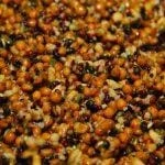 Outlet ๐คฉ Dynamite Baits - Frenzied Chilli Hempseed Can & Jar Fishing Bait ๐ 3 Dynamite Baits - Frenzied Chilli Hempseed Can & Jar Fishing Bait