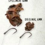 Dynamite Baits - Frenzied Hempseed & Snails - Tins