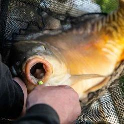 Promo ๐ Fjuka Bait Fjuka Carpo Fishing Bait ๐คฉ 10 Fjuka Bait Fjuka Carpo Fishing Bait