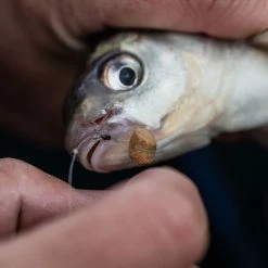 Wholesale ๐ฏ Fjuka Bait Fishing Bait Fjuka Hookable Pop Ups ๐ 15 Fjuka Bait Fishing Bait Fjuka Hookable Pop Ups