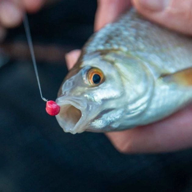 Best deal ✔️ Fjuka Bait Fjuka Neeonz Hook Bait ⌛ 3 Fjuka Bait Fjuka Neeonz Hook Bait