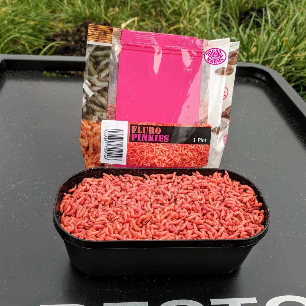 Buy ๐ Willy Worms Fluro Pinkies โ๏ธ 5 Willy Worms Fluro Pinkies