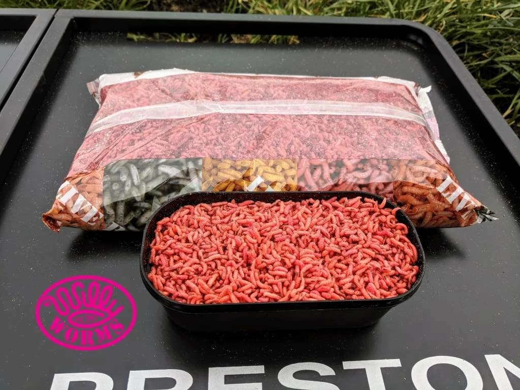 Buy ๐ Willy Worms Fluro Pinkies โ๏ธ 6 Willy Worms Fluro Pinkies