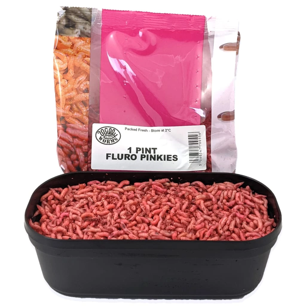 Buy ๐ Willy Worms Fluro Pinkies โ๏ธ 1 Willy Worms Fluro Pinkies