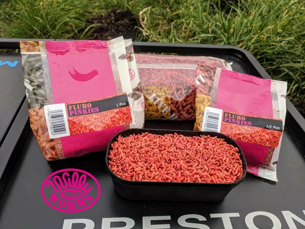 Buy ๐ Willy Worms Fluro Pinkies โ๏ธ 3 Willy Worms Fluro Pinkies