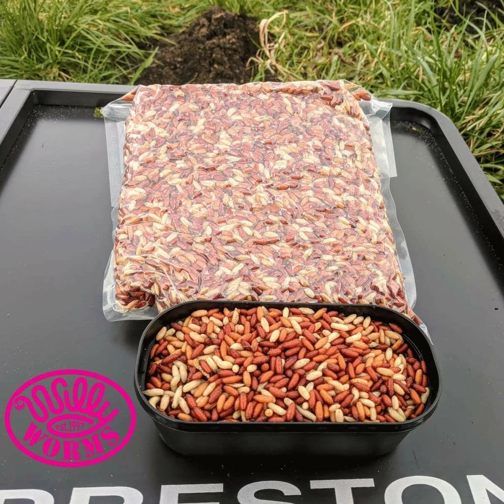 Best Pirce โค๏ธ Willy Worms Fresh Casters 1 Pint ๐ 8 Willy Worms Fresh Casters 1 Pint