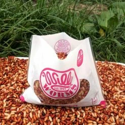 Best Pirce โค๏ธ Willy Worms Fresh Casters 1 Pint ๐ 14 Willy Worms Fresh Casters 1 Pint