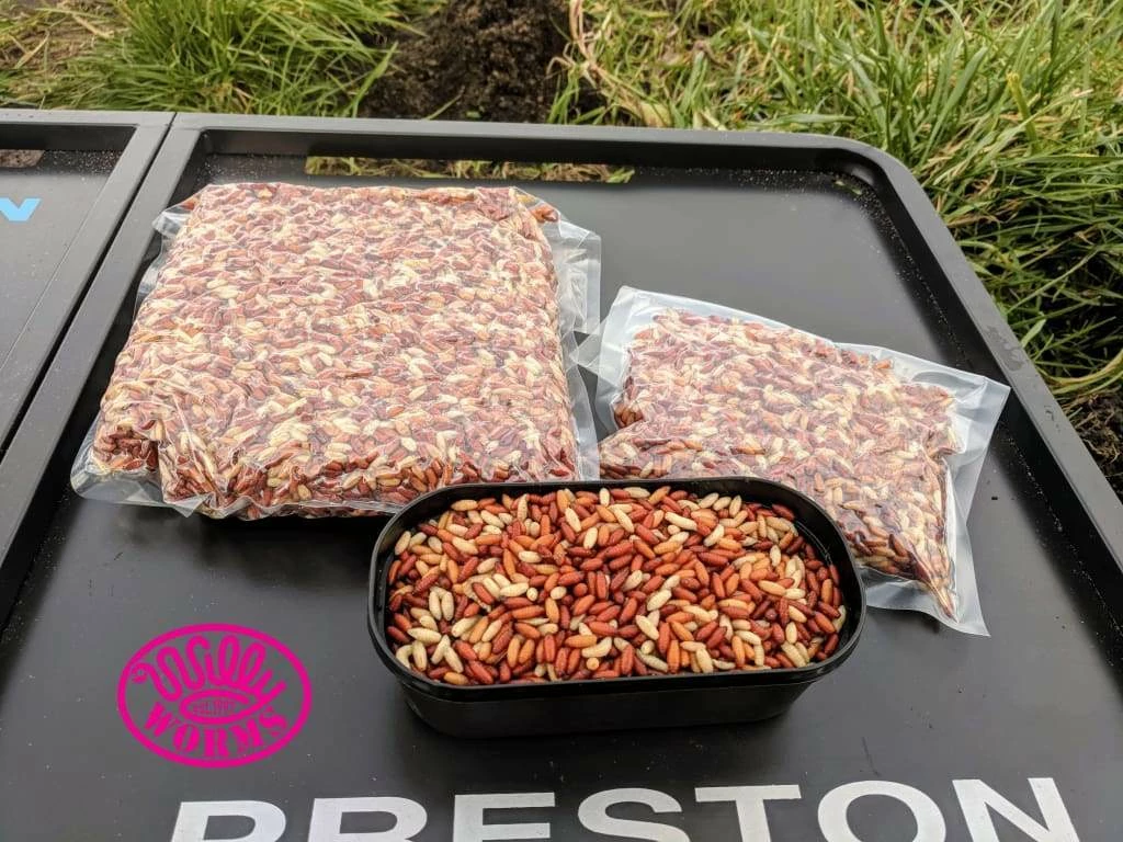 Best Pirce โค๏ธ Willy Worms Fresh Casters 1 Pint ๐ 7 Willy Worms Fresh Casters 1 Pint