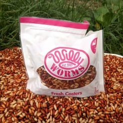 Willy Worms Fresh Casters 1 Pint