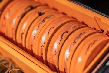 Best Sale ๐ Guru Fusion Feeder Box ๐ 8 Guru Fusion Feeder Box