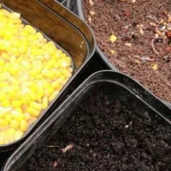 Match & Coarse Guru LWG Feeder Special Hooks