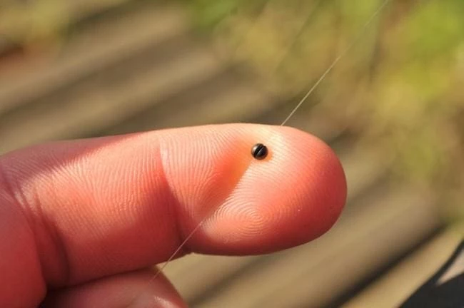 New โ Match & Coarse Guru Micro Shot Refill ๐ 3 Match & Coarse Guru Micro Shot Refill