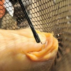 Best reviews of ๐ Guru QM1 Disgorger Match & Coarse ๐ 13 Guru QM1 Disgorger Match & Coarse