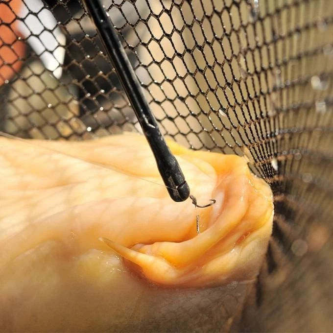 Best reviews of ๐ Guru QM1 Disgorger Match & Coarse ๐ 6 Guru QM1 Disgorger Match & Coarse