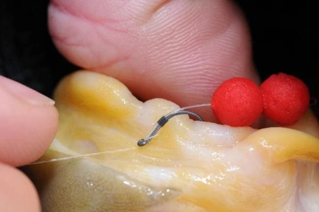 Buy โจ Guru QM1 Hooks Match & Coarse ๐ฅฐ 5 Guru QM1 Hooks Match & Coarse