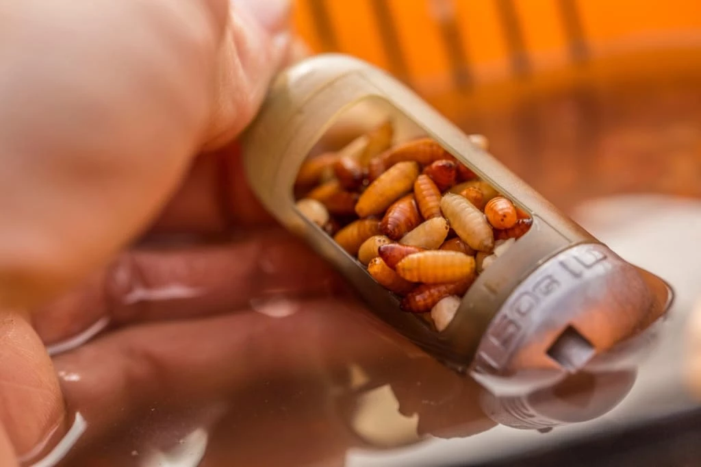 Coupon ๐ Match & Coarse Guru X-Change Window Feeders ๐ 11 Match & Coarse Guru X-Change Window Feeders