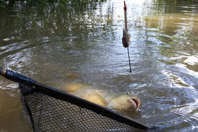 Coupon โจ Match & Coarse Guru X - Safe Method Feeders ๐งจ 5 Match & Coarse Guru X - Safe Method Feeders