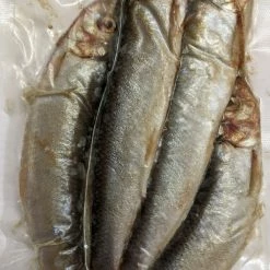 Willy Worms Fishing Bait Herring Large (3 - 4 Per Pack)