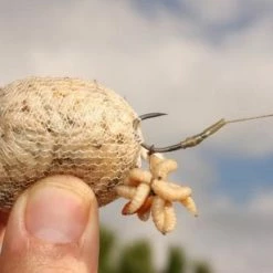 Buy ๐ Korda Funnel Web System (7m) Carp & Barbel ๐ 6 Korda Funnel Web System (7m) Carp & Barbel