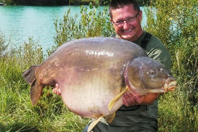 Cheapest โ๏ธ Carp & Barbel Korda Kurv Shank Hooks ๐ 5 Carp & Barbel Korda Kurv Shank Hooks