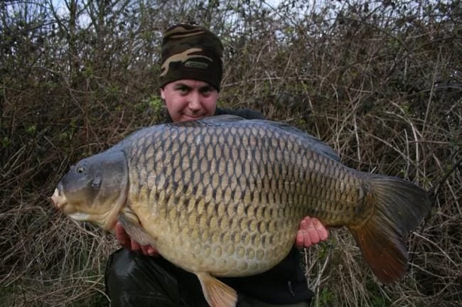 Hot Sale ๐ Korda Mixa Hooks Carp & Barbel ๐ 5 Korda Mixa Hooks Carp & Barbel