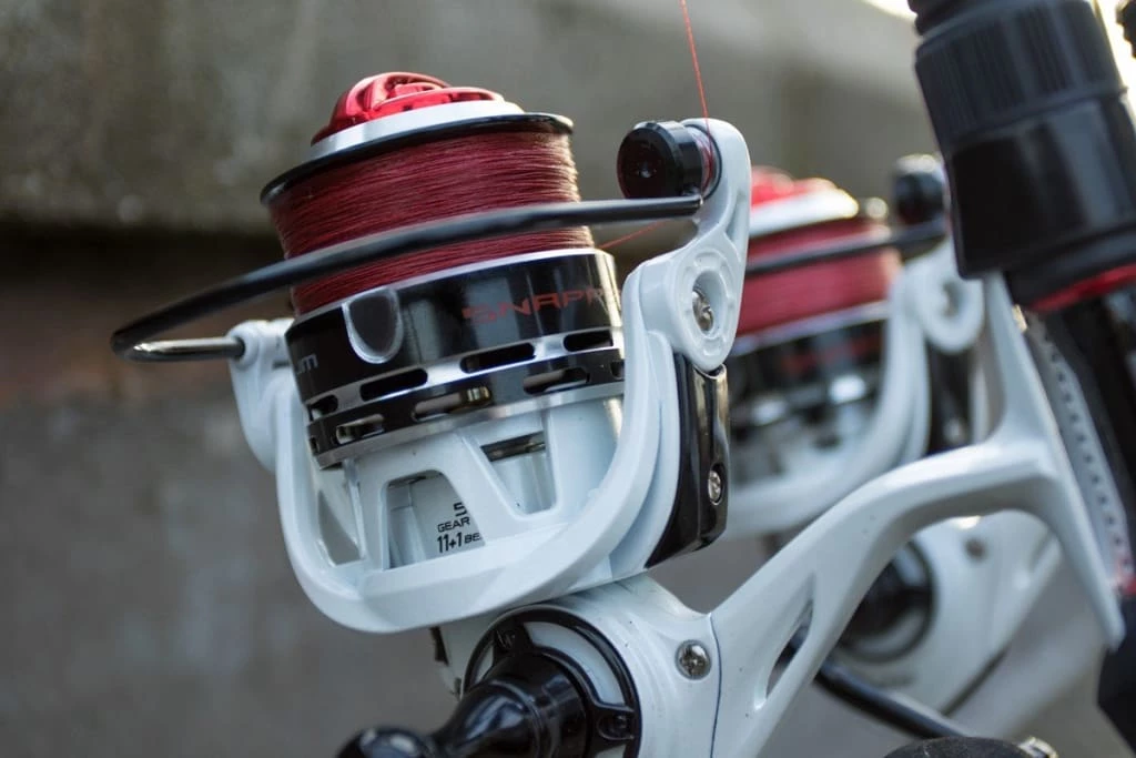 Best Pirce ๐ Pike & Predator Korum Dropshot & Jig Braid ๐คฉ 2 Pike & Predator Korum Dropshot & Jig Braid