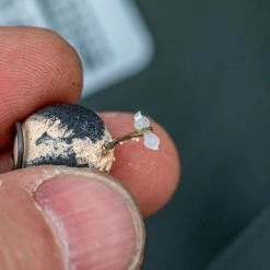 Buy ⌛ Korum Multi Stops ✔️ 6 Korum Multi Stops