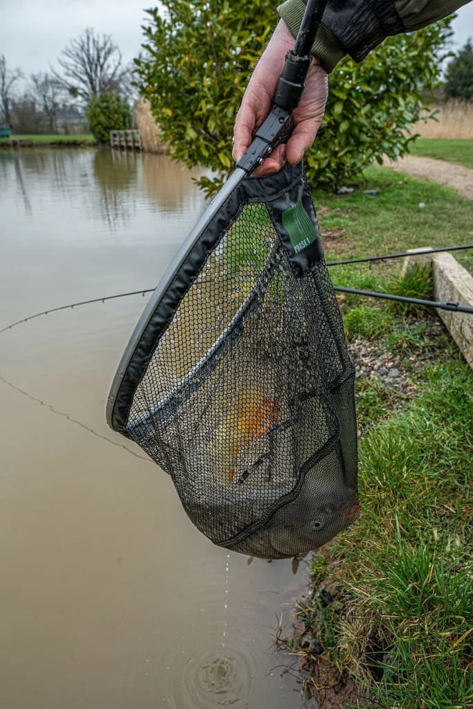 Promo โจ Korum Phase 1 Spoon Net 18" ๐ฏ 3 Korum Phase 1 Spoon Net 18"