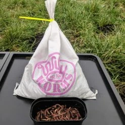 Brand new ๐ฅ Willy Worms Live Bait Large Dendrobaenas ๐ 12 Willy Worms Live Bait Large Dendrobaenas