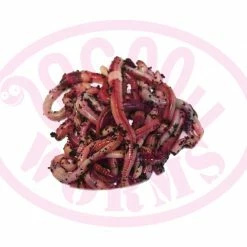 Brand new ๐ฅ Willy Worms Live Bait Large Dendrobaenas ๐ 13 Willy Worms Live Bait Large Dendrobaenas
